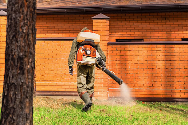 Trusted Cockroach Control service in Madison Lake, MN - Nex Pest Control
